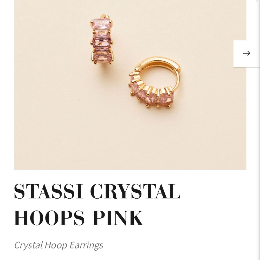 NWOT Mignonne Gavigan Stassi Hoop Earrings Pink